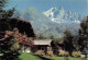 FRANCE - Vallée De Chamonix - L'aiguille Verte Et Les Drus - Carte Postale - Altri & Non Classificati