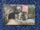 XAX046-Suisse Gorges De L'Areuse Lot De 3 CPA - Boudry