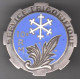 Service Frigorifique/ 10° Région Militaire. Alger. D.1505. 3 Pin's. - Esercito