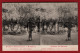 PORTUGAL - ARCHIVO PANORAMICO E ARTISTICO CALDAS DA RAINHA - LAGO E PARQUE RAPHAEL BORDALO PINHEIRO 1910 STEREOSCOPIC PC - Lisboa