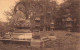 BELGIQUE - Royaume De Belgique - Vue Sur Le Parc De Marlemont - Lanternes Et Bouddha Japonais - Carte Postale Ancienne - Andere & Zonder Classificatie
