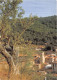 AUPS Le Lavoir Chef Lieu De Canton Porte Des Gorges Du Verdon (SCAN RECTO VERSO)MA0046 - Aups