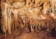 82  SAINT ANTONIN NOBLE VAL Grotte Du Bosc Le Jardin Japonais  51 (scan Recto Verso)MA008TER - Saint Antonin Noble Val