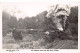 Australia - FERN TREE GULLY (VIC) The Gembrook Train - REAL PHOTO - Publ. The Rose Series 745 - Autres & Non Classés