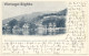 Oberhofen Am Thunersee: Pension Zimmermann - Dampfschiff Ländte (Vintage PC 1903) - Oberhofen Am Thunersee