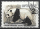 Russia 1964. Scott #2906 (U) Giant Panda - Used Stamps
