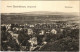 ** T2 Savanyúkút, Sauerbrunn; Panorama / Látkép / General View - Zonder Classificatie