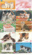 32 X Japan Thematik Cards Tickets Katzen Cat - Gatos