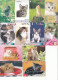 32 X Japan Thematik Cards Tickets Katzen Cat - Katzen