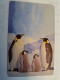 ZAMBIA  TELECOM  MAGSTRIPE   100 UNITS   - KEISER PINGUIN /  BIRD FINE USED CARD **16494** - Sambia