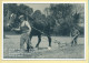 Les Frères PERIAT Ouvrant Les Raies De Pommes De Terre Avec Leur Attelage De Cheval (Philippe CHMIELEWSKI) - Farmers