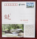 Blcak Bear Climbing Tree,CN 10 Heilongjiang Top 100 The Most Worthwhile Attractions Sandaoguan National Forest Park PSC - Beren