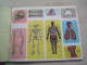 Livret Images ANATOMIE HUMAINE - Learning Cards