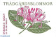 Sweden 1997 Garden Flowers 2x5v In Booklet, Mint NH, Nature - Flowers & Plants - Stamp Booklets - Ongebruikt