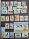 Collection De Timbres Sur Le Thème Oiseaux. - Colecciones (sin álbumes)