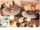 CHAMPIGNONS.n°28474.PALOMET.CARTE MAXIMUM - Pilze