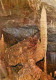 48 - Meyrueis - Grotte De Dargilan - Le Fuseau - Carte Neuve - CPM - Voir Scans Recto-Verso - Meyrueis
