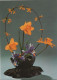 95495 - Ikebana Leuchtender Frühling - Sonstige
