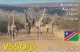 AK 212284 QSL - Namibia - Omaruru - Amateurfunk