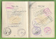 Delcampe - Portugal - Passport - Passeport - Reisepass - South Africa - Ohne Zuordnung