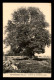 55 - VAVINCOURT - L'ARBRE DE LA LIBERTE (1791) - EDITEUR LEHALLE - Vavincourt