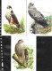 Buzin 4030/4 Epervier - Faucon Hobereau - Buse Variable - Autour Des Palombes - Milan Royal - 1985-.. Vogels (Buzin)