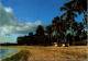 12-4-2024 (1 Z 41) Brazil (posted Within France 1985) Praia Beach & Palm Trees - Bomen