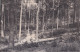 E8- RUIEN - RUYEN - MONT DE L ' ENCLUS - DESCENTE  DE L ' ENFER -  EN  1911 - ( 2 SCANS ) - Kluisbergen