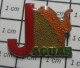 713b Pin's Pins / Beau Et Rare / ANIMAUX / LETTRE J MAJUSCULE JAGUAR - Animals