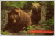 Slovakia 75 Units Chip Card - Medved Hnedy / Bear - Slowakei