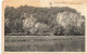 BELGIQUE - Rouillon S/Meuse - Vue De La Roche Aux Cornilles - Vue Générale - Carte Postale Ancienne - Anhee