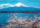 Japon - Mont Fuji - And Cherry Blossoms - Voir Timbre - CPM - Voir Scans Recto-Verso - Sonstige & Ohne Zuordnung