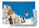 Sport - Sports D'Hiver - Ski - CPM - Voir Scans Recto-Verso - Sports D'hiver