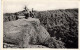 BELGIQUE - Le Hérou (noir Homme) - Forêt - Vue Sur Un Rocher -vue Générale - Animé - Carte Postale Ancienne - Sonstige & Ohne Zuordnung