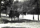 Reproduction CPA - 75 Paris - Cheval Au Bois De Boulogne - Paris 1900 - 74 - CPM - Carte Neuve - Voir Scans Recto-Verso - Ohne Zuordnung