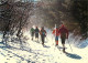 Sport - Sports D'Hiver - Ski - CPM - Voir Scans Recto-Verso - Wintersport