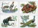 Delcampe - ANIMAL . LOT 57 CARTES POSTALES. LIVRAISON OFFERTE   Achat Immédiat - 5 - 99 Cartoline