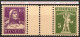 Schweiz Suisse 1930: Steg-Paar "Pont" Gutter-pair Zu S42 Mi WZ29xC * Falzspur Avec Charnière MLH (Zu CHF 110.00 -50%) - Zusammendrucke