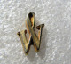 PIN'S    LOGO  WATERMAN - Other & Unclassified