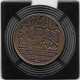 100 PLEKIJZERS 1982 BORNEN - Tokens Of Communes