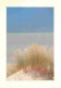 59 - Bray Dunes - Plage - Dunes - Carte Neuve - CPM - Voir Scans Recto-Verso - Bray-Dunes