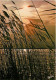 Coucher De Soleil - CPM - Voir Scans Recto-Verso - Halt Gegen Das Licht/Durchscheink.