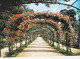 Delcampe - BON Lot De 45 Cartes De PARCS & JARDINS CPSM-CPM Grand Format Dont 19 Dentelées (FRANCE 1960-90's) Arbre Fleur Roseraie - 5 - 99 Cartoline