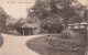 FRANCE - Vichy - Vue Sur Les Parc Des Célestins - Vue Générale  - Carte Postale Ancienne - Vichy