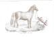 Belgique, "Carte Porcelaine" Porseleinkaart, Carte De Visite Avec Cheval,De Lay De Muyttere, Bruges 157x103mm - Cartoline Porcellana