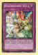 Yu-Gi-Oh! - RENVERSEMENT XYZ (JOTL-FR078) - Yu-Gi-Oh