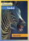 CEBRA Animales Vintage Tarjeta Postal CPSM #PBR933.ES - Zebra's