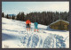 095774/ Le Ski De Fond - Sports D'hiver