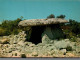 N°983 Z -cpsm Saint Alban Sous Sampzon -un Beau Dolmen- - Dolmen & Menhire