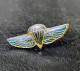 A Pins Insigne Brevet Militaire Commando Parachutiste Para Lapel Pin Airborne Pin's - Armee